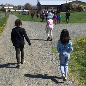 Meet your Posher, Kendall